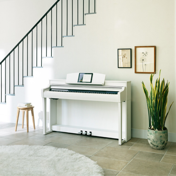 CSP-255 WH (1) CSP-255