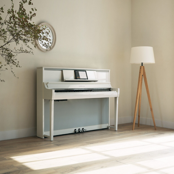 CSP-295 PWH (1) CSP-295 PWH