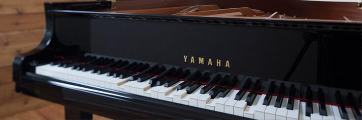 ჰიბრიდული Category