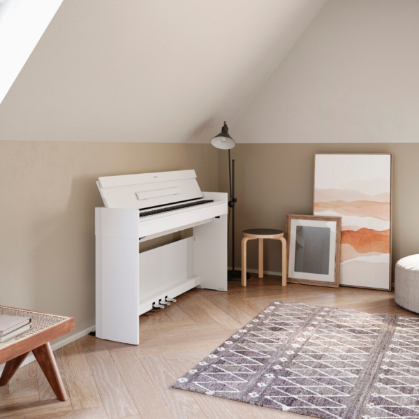 YDP-S55 (11) YDP-S55