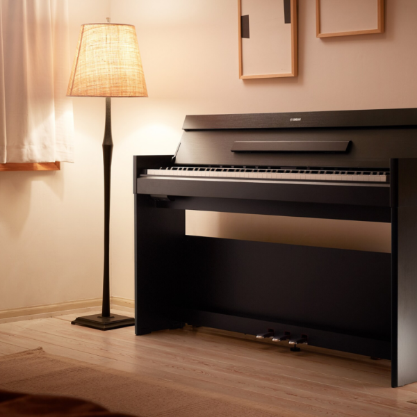 YDP-S55 (12) YDP-S55