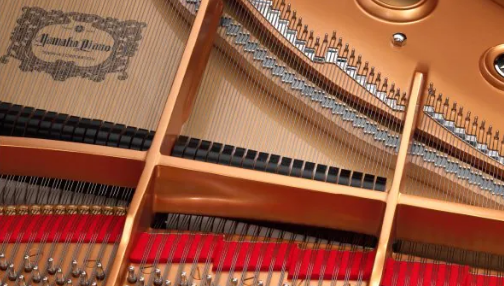 jM373iTUNTxM7BV6 საკონცერტო როიალი CFX