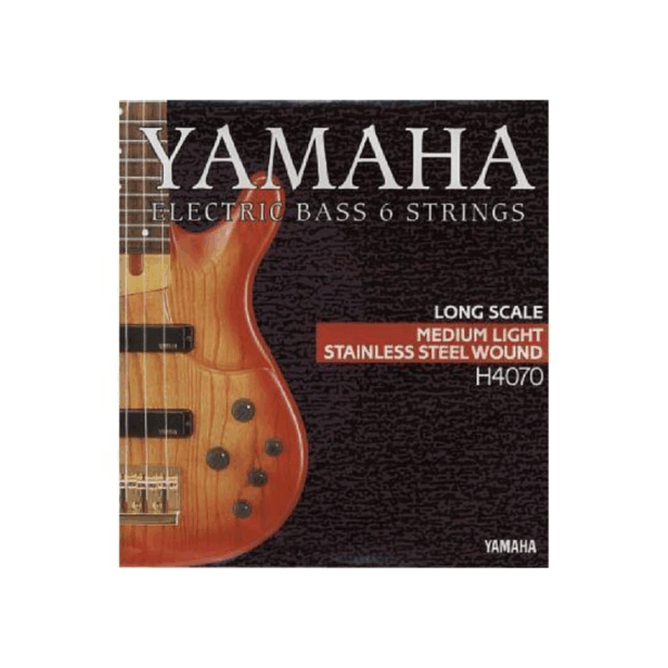 ბას გიტარის სიმები H4070