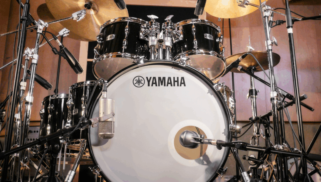 დასარტყამი Category