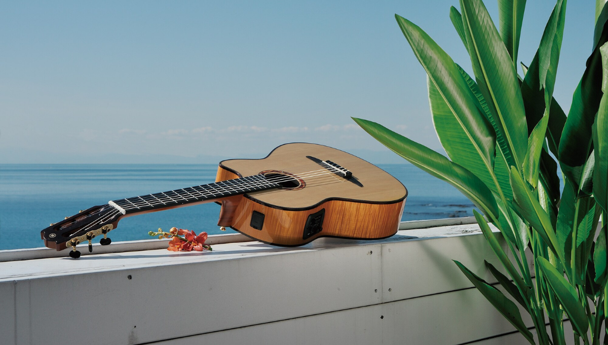 ელექტრო კლასიკური გიტარა