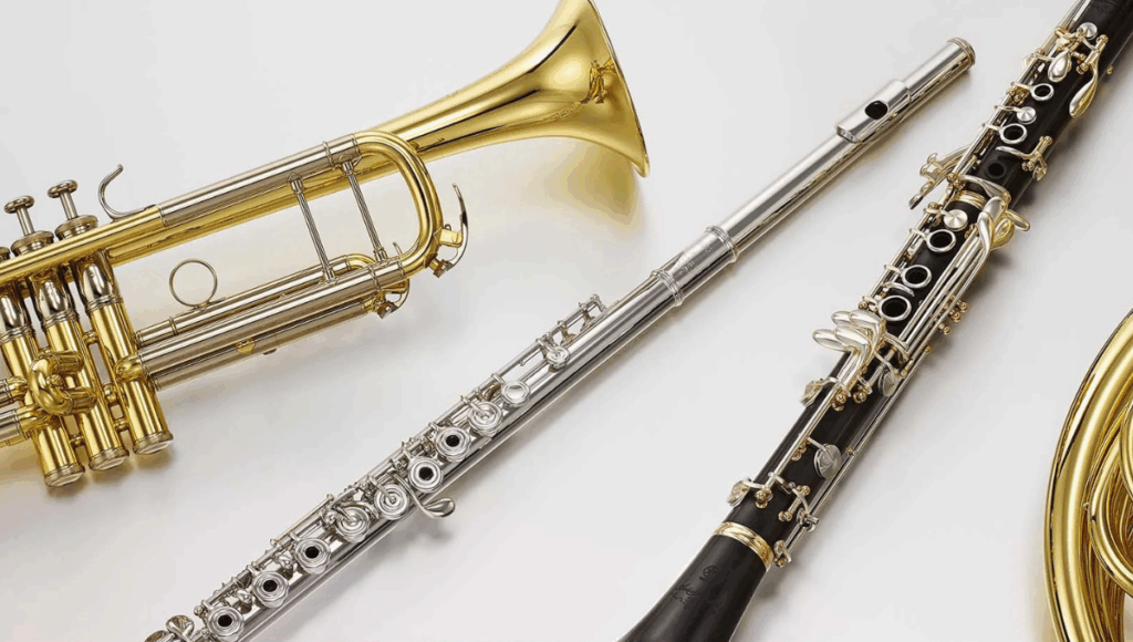 სასულე Category