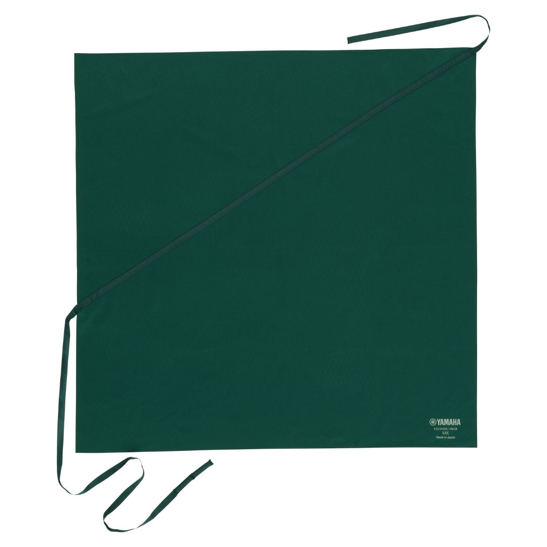 საწმენდი ტამპონი (1) საწმენდი ტამპონი