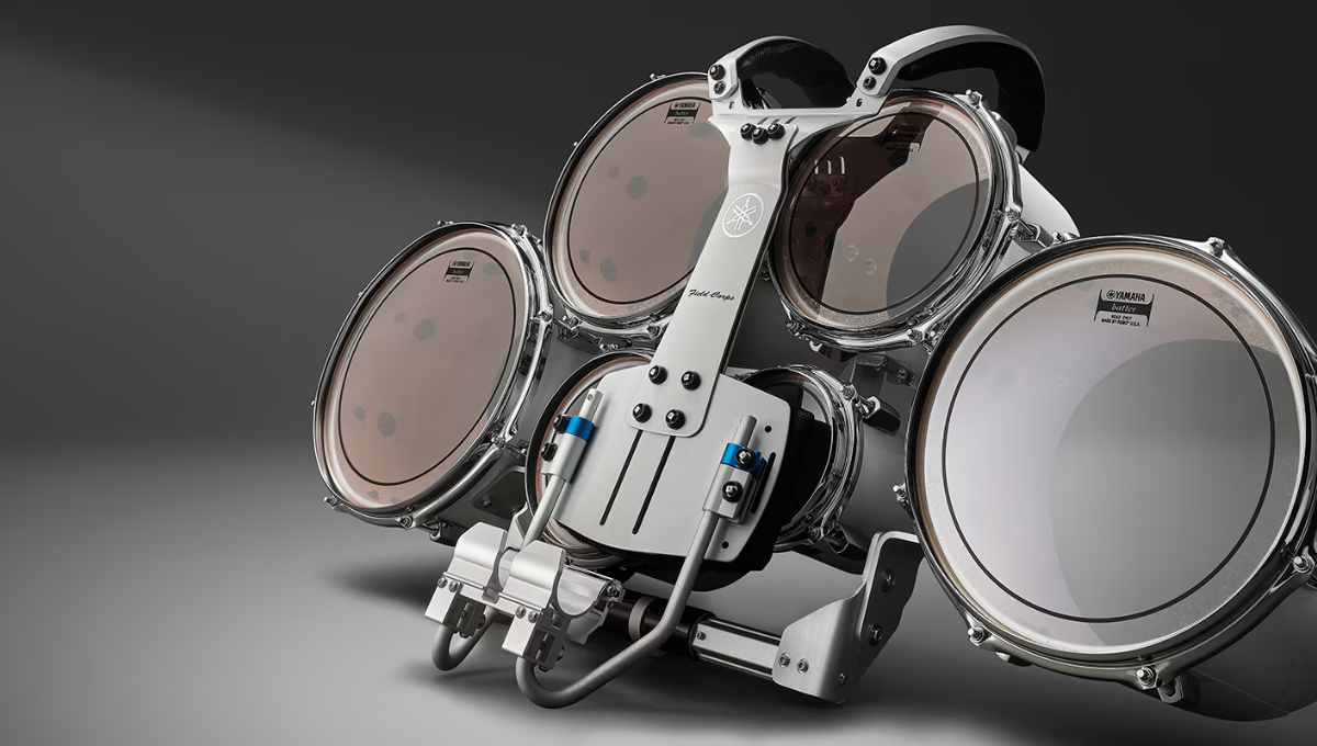 დამჭერები