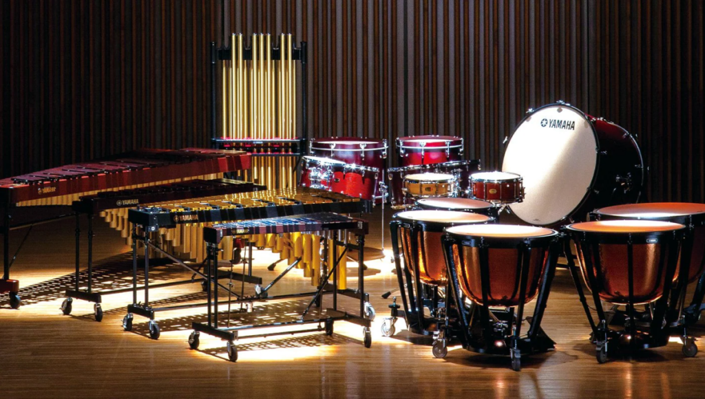 საორკესტრო პერკუსია Category