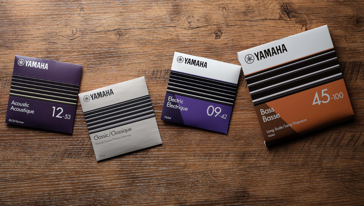 გიტარის აქსესუარები